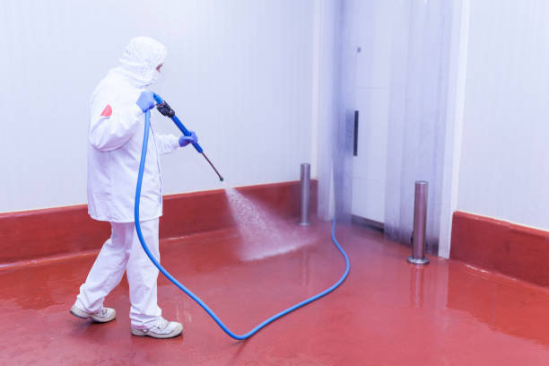 Best Solar Panel Cleaning  in Oceanside, CA