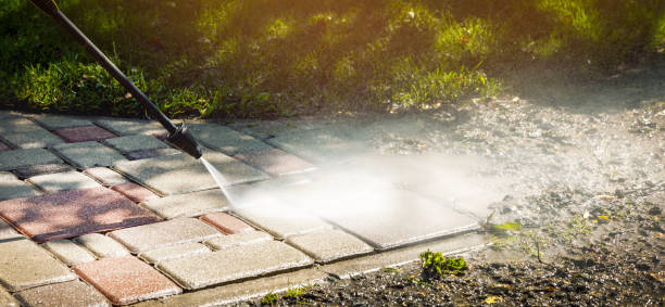 Best Soft Washing  in Oceanside, CA